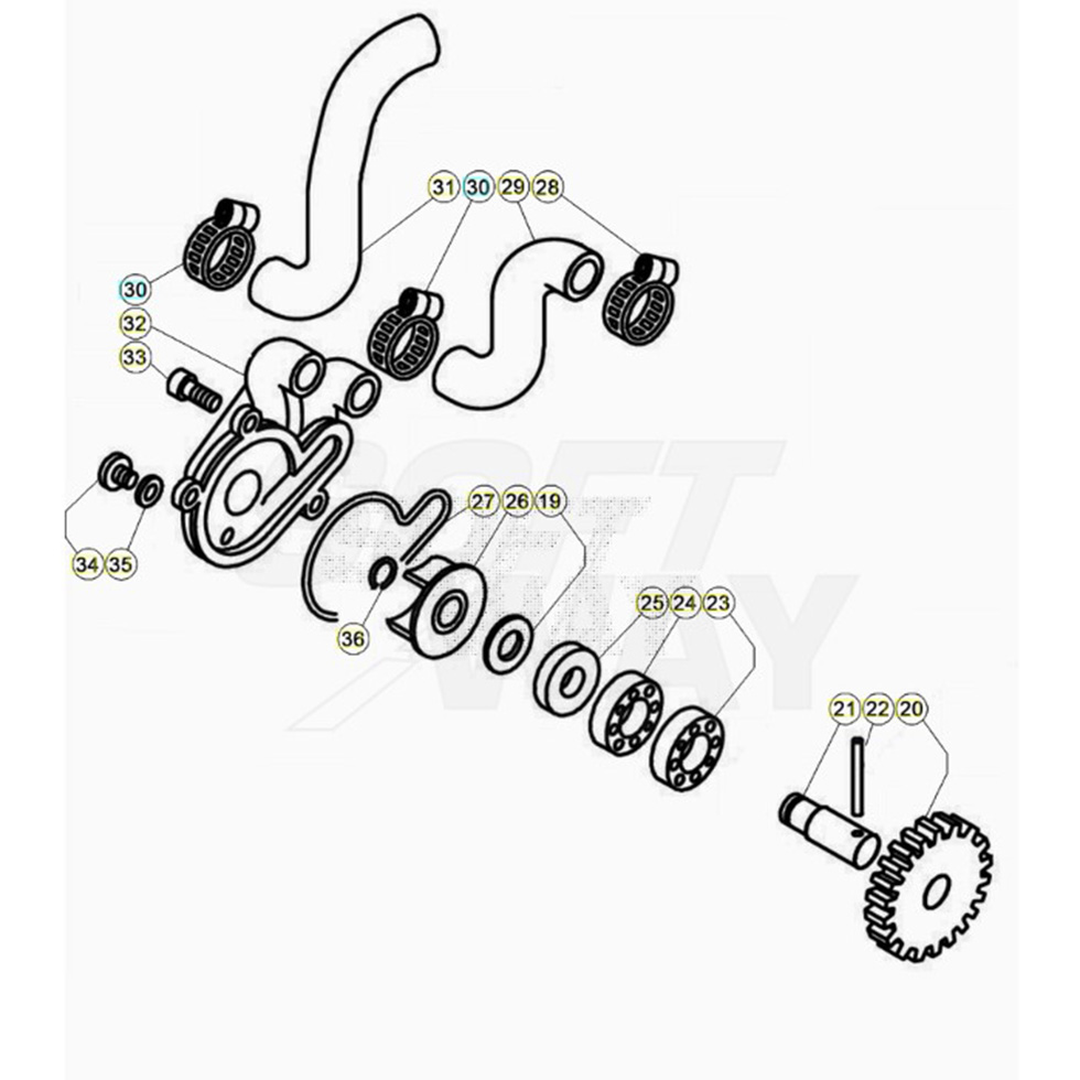 Beta EVO300 2T 23 Kühlsystem Ersatzteile Beta EVO300 2T 23 Kühlsystem Ersatzteile